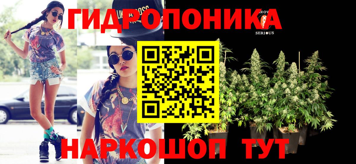 Конопля VHQ  Бошки марихуана семена  Вход с VPN  Верхняя Салда  Бошки Шишки White Widow  Марихуана OG Kush 